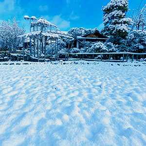 雪景色